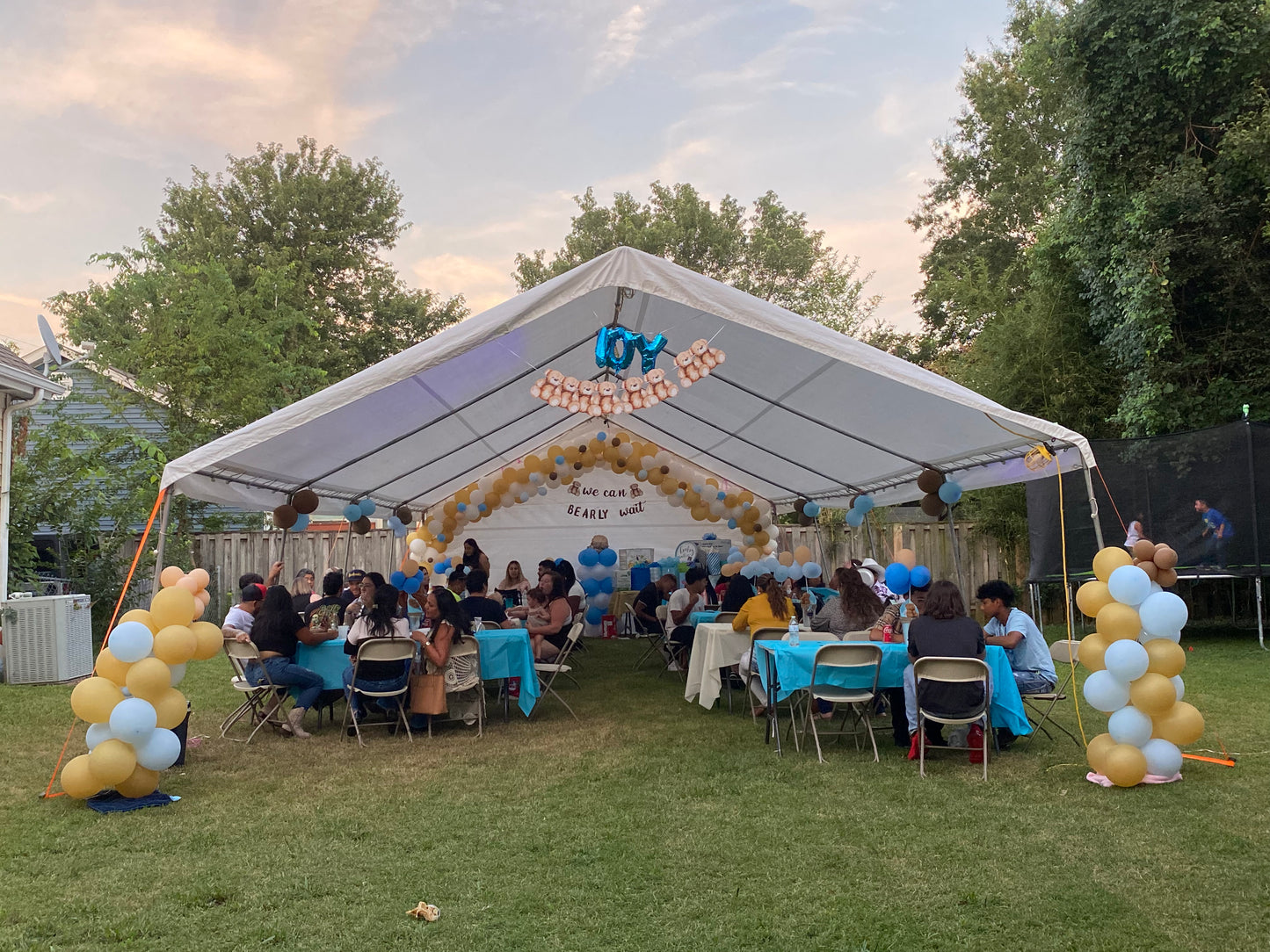 Tent Canopies