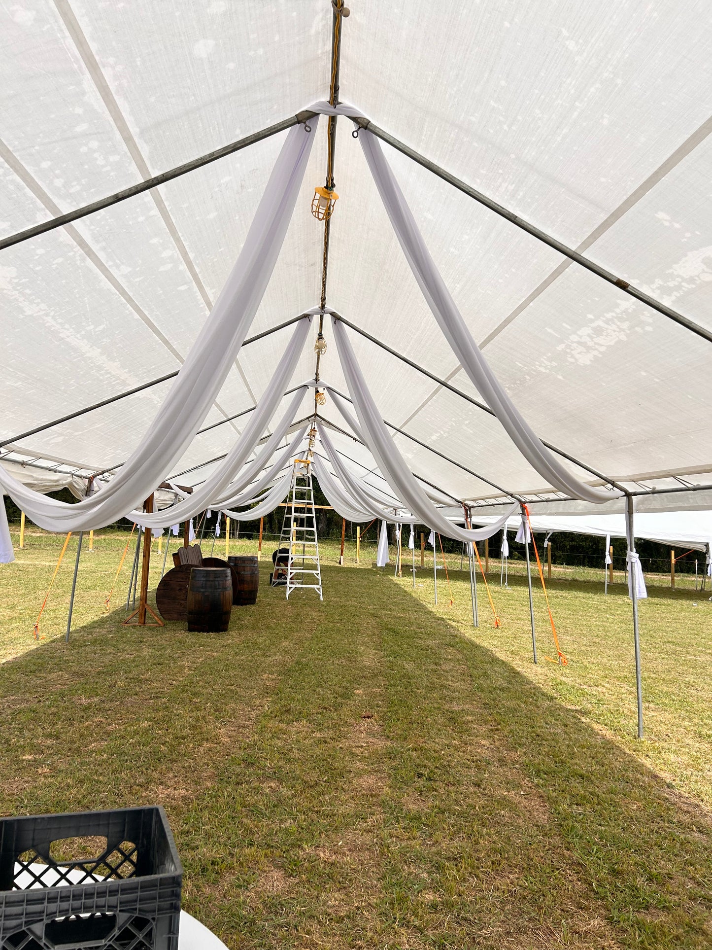 Tent Canopies