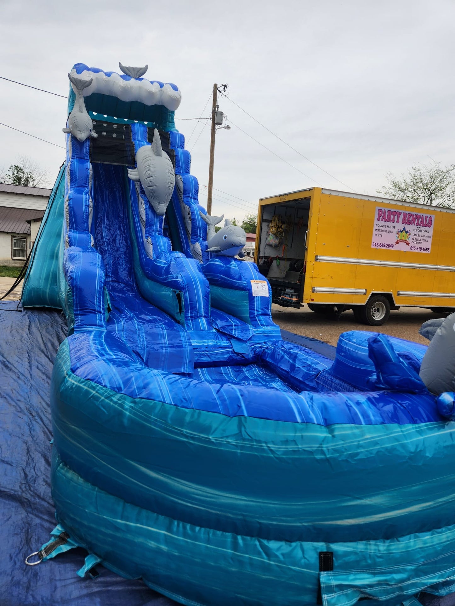 Dolphin 2.0 Water Slide
