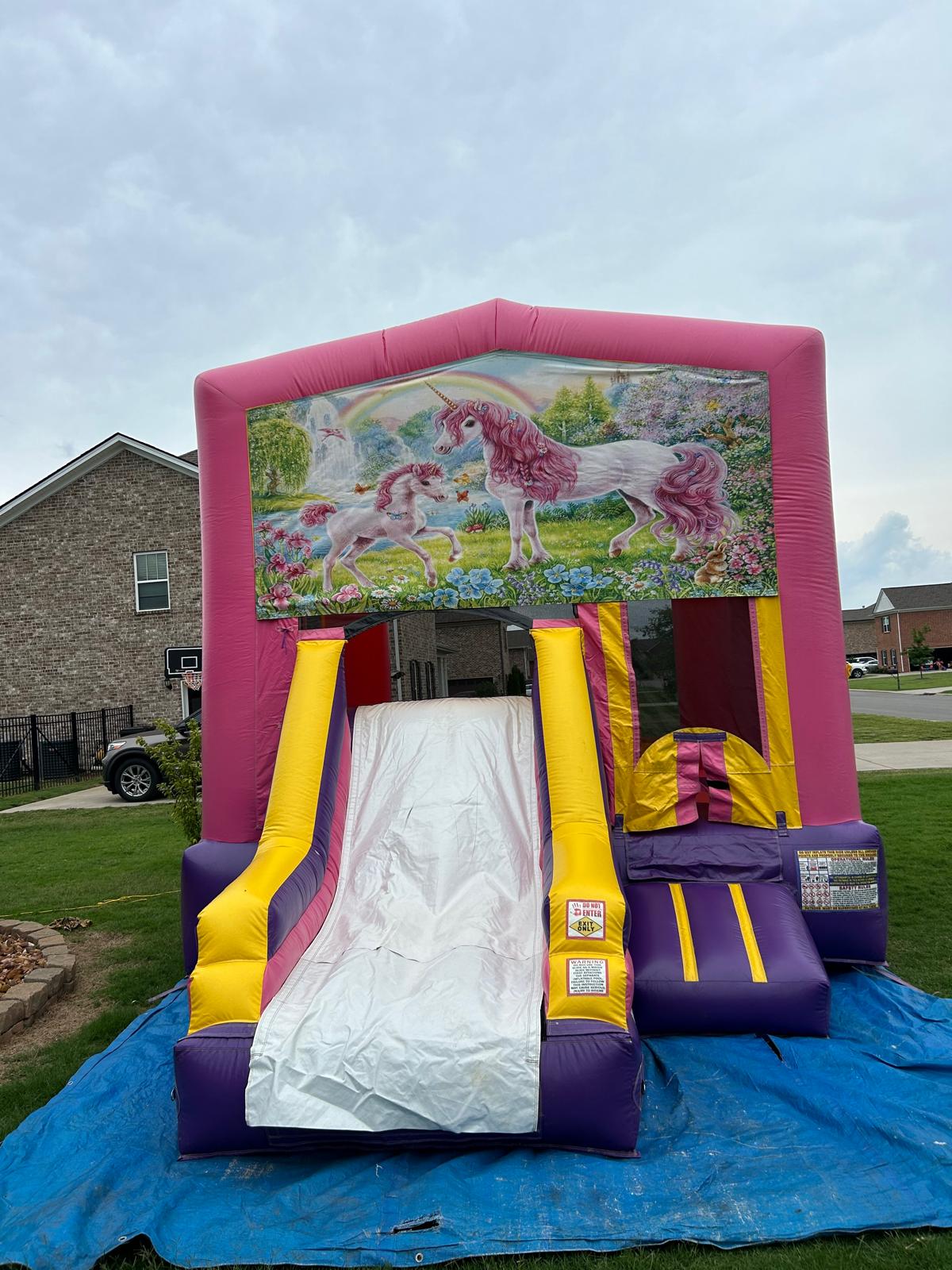 Pink Combo Inflatable