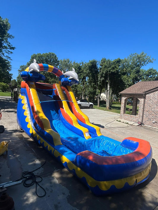 Dolphin Water Slide