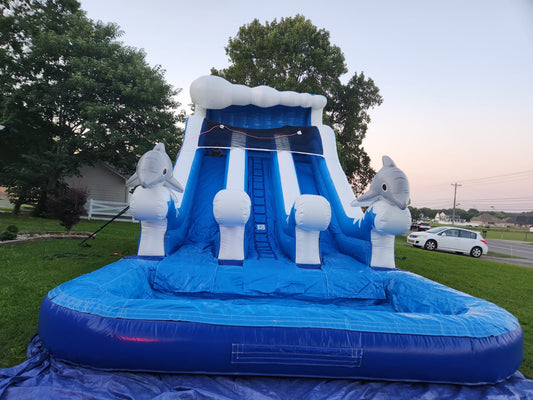 Dolphin Double Slide