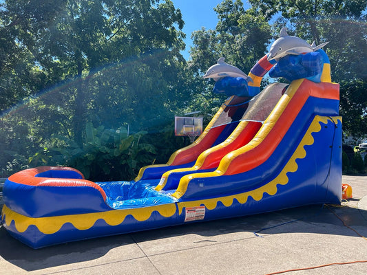 Dolphin Water Slide