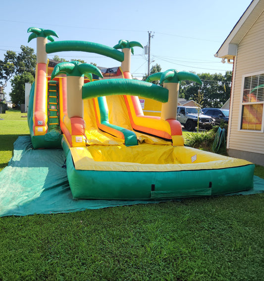 Palm Tree Double Water Slide
