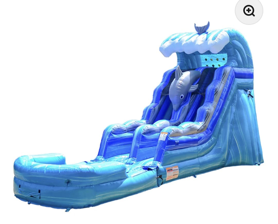 Wave Dolphin Water Slide