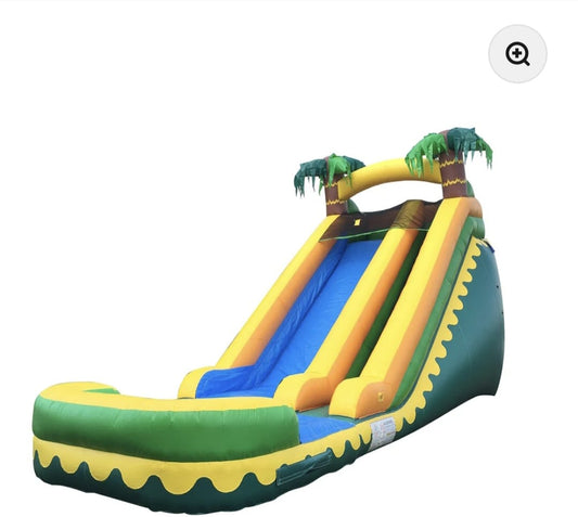 Palm Tree Water Slide